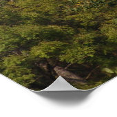 Dracula's kasteel, dat Transsylvanië controleert Poster (Hoek)