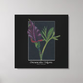 Dracunculus vulgaris canvas afdruk (Voorkant)