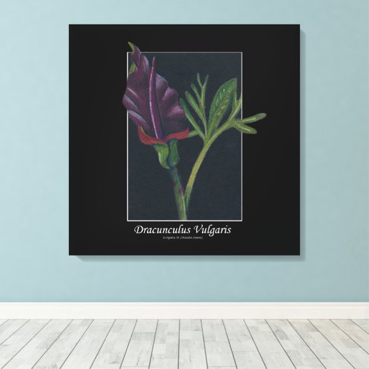 Dracunculus vulgaris canvas afdruk (Insitu (Houten vloer))