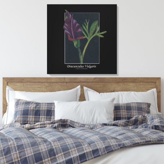 Dracunculus vulgaris canvas afdruk (Insitu (Slaapkamer))
