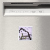 draden en puinhoop magneet (Insitu (Vaatwasser))