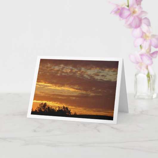 Draden in de lucht kaart (Orchidee)