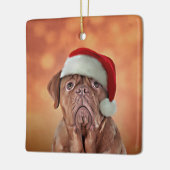 Dradenhond Dogue de Bordeaux in het rode pet van d Keramisch Ornament (Links)