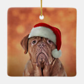 Dradenhond Dogue de Bordeaux in het rode pet van d Keramisch Ornament (Achterkant)