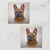 Dradenhond Franse Bulldog 5 Vierkante Visitekaartje (Voorkant / Achterkant)