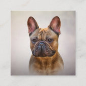 Dradenhond Franse Bulldog 5 Vierkante Visitekaartje (Achterkant)