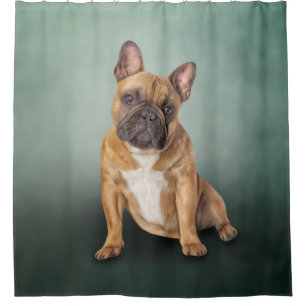 Dradenhond Franse hond Douchegordijn