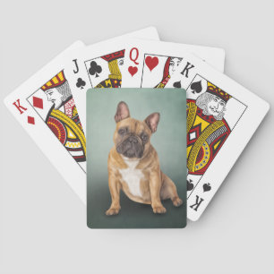 Dradenhond Franse hond Pokerkaarten