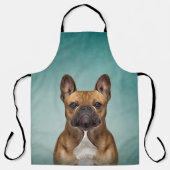 Dradenhond Franse hond Schort (Voorkant)