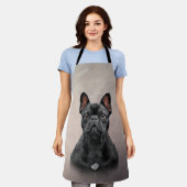 Dradenhond Franse hond Schort (Gedragen)