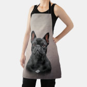 Dradenhond Franse hond Schort (Insitu)