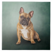 Dradenhond Franse hond Tegeltje (Voorkant)