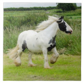 Dradenpaard met Tile Tegeltje (Voorkant)