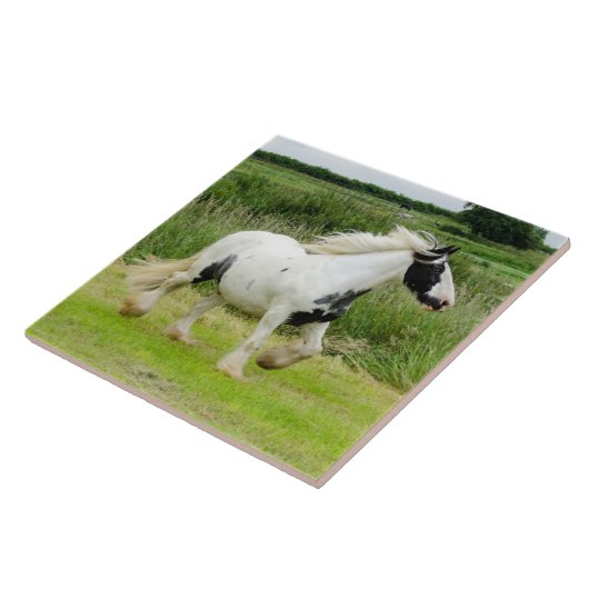Dradenpaard met Tile Tegeltje (Zijkant)