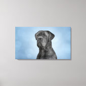 Dradenriet Corso - Italiaanse Mastiff Canvas Afdruk (Voorkant)