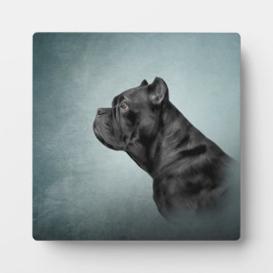 Dradenriet Corso - Italiaanse Mastiff Fotoplaat
