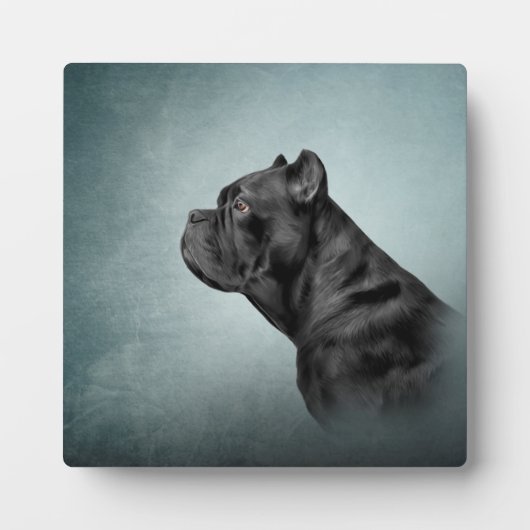 Dradenriet Corso - Italiaanse Mastiff Fotoplaat (Voorkant)