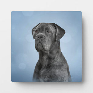 Dradenriet Corso - Italiaanse Mastiff Fotoplaat