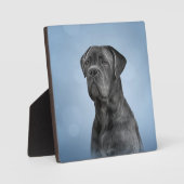 Dradenriet Corso - Italiaanse Mastiff Fotoplaat (Voorkant)