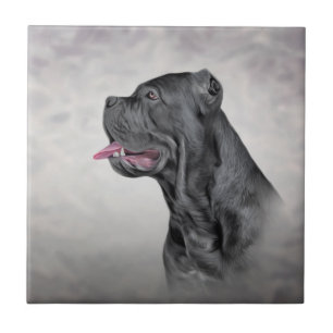 Dradenriet Corso - Italiaanse Mastiff Tegeltje