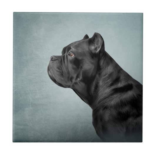 Dradenriet Corso - Italiaanse Mastiff Tegeltje (Voorkant)
