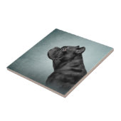 Dradenriet Corso - Italiaanse Mastiff Tegeltje (Zijkant)