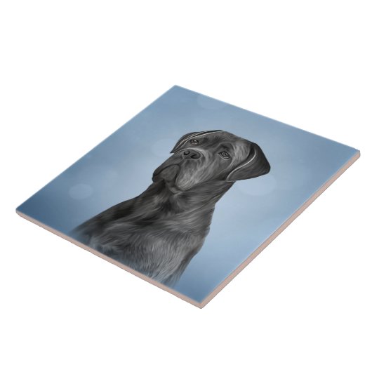 Dradenriet Corso - Italiaanse Mastiff Tegeltje (Zijkant)