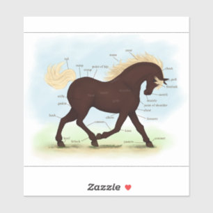 Draf Rocky Mountain Horse Paard Anatomie Chart Sticker