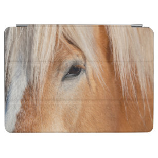 Draft Breed Horse iPad Air Cover