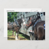 Draft Horse Duo Briefkaart (Voorkant / Achterkant)