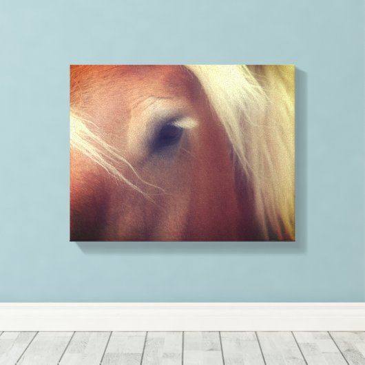 Draft Horse Eye Wisdom Canvas Afdruk (Insitu (Houten vloer))