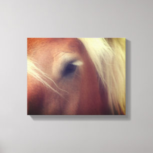 Draft Horse Eye Wisdom Canvas Afdruk