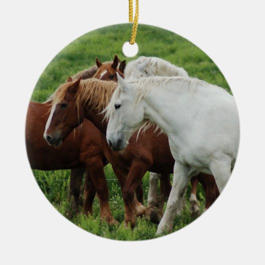 Draft Horse Keramisch Ornament (Voorkant)