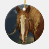 Draft Horse Ornament (Voorkant)