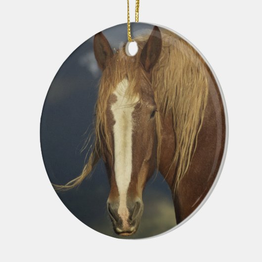Draft Horse Ornament (Links)
