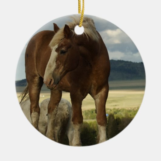Draft Horse Ornament (Voorkant)