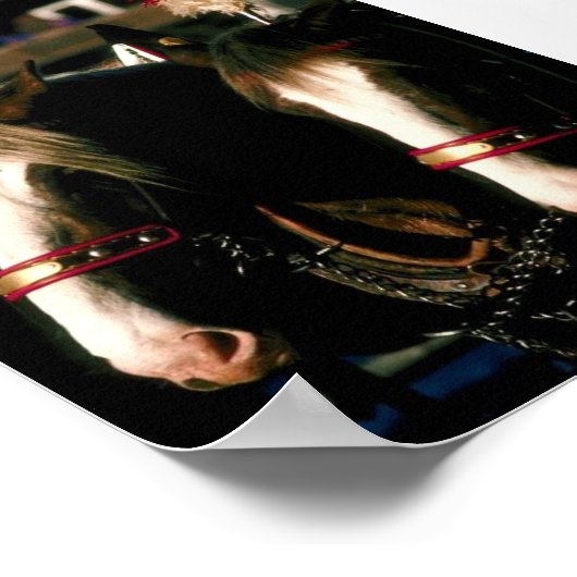 Draft Horse Tandem Poster (Hoek)