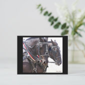 Draft Horses Briefkaart #1 (Staand voorkant)