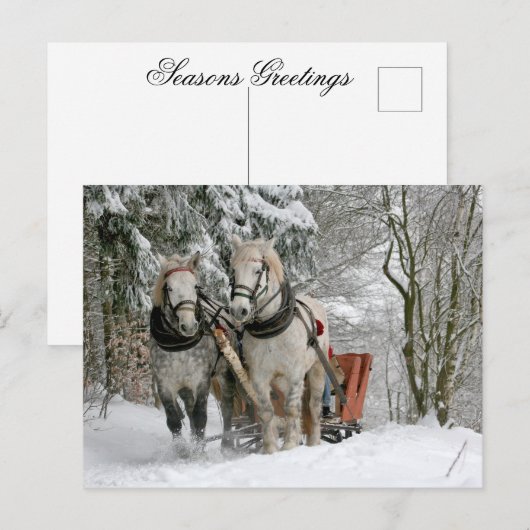 Draft Horses Christmas Feestdagenkaart (Voorkant / Achterkant)