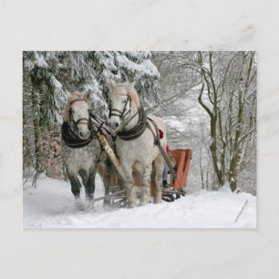 Draft Horses Christmas Feestdagenkaart