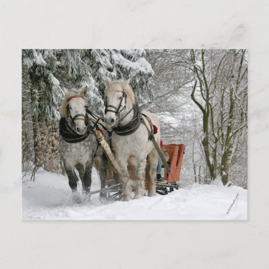 Draft Horses Christmas Feestdagenkaart (Voorkant)