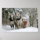 Draft Horses Pulling Sleigh Poster (Voorkant)