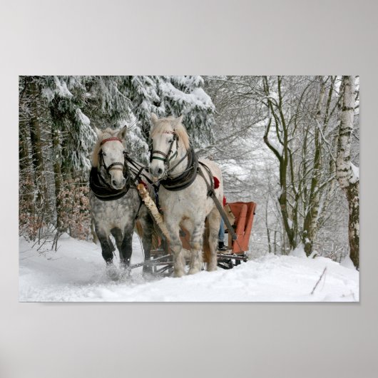 Draft Horses Pulling Sleigh Poster (Voorkant)
