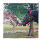 Draft Horses Tegel Tegeltje (Voorkant)