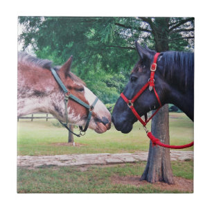 Draft Horses Tegel Tegeltje