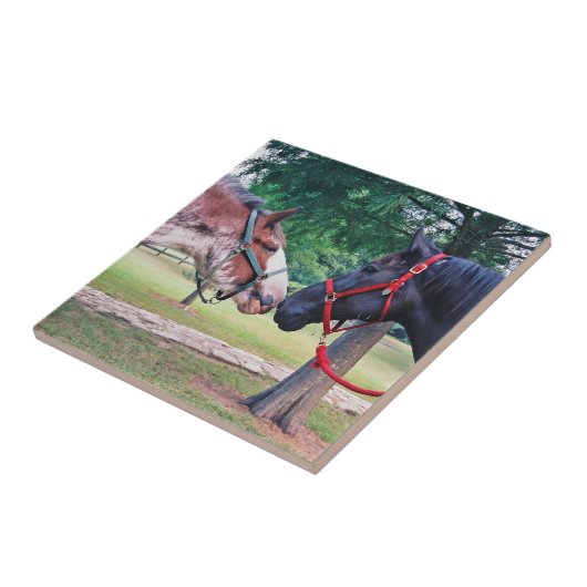 Draft Horses Tegel Tegeltje (Zijkant)