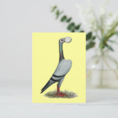 Drager duif 2012 briefkaart (Staand voorkant)