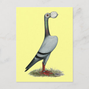 Drager duif 2012 briefkaart