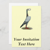 Drager duif 2012 kaart (Voorkant / Achterkant)