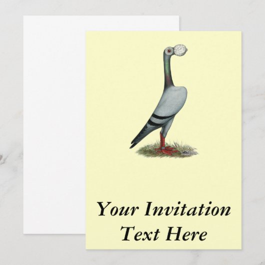 Drager duif 2012 kaart (Voorkant / Achterkant)